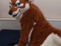 1266036301.junowolf_dsc_0002-2.jpg